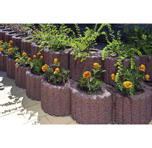 Reihe von Pflanzsteinen mit Blumen und Pflanzen zur Gartengestaltung