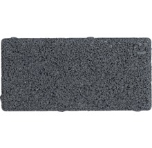 Pflasterstein aus Stein