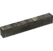 Rechteckiger Pflasterstein