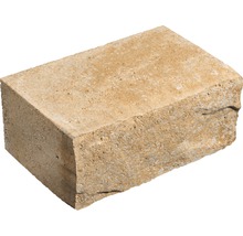 Einzelner Pflasterstein