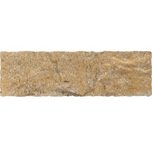 Pflasterstein aus Stein