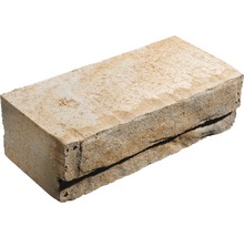 Einzelner Pflasterstein aus Beton