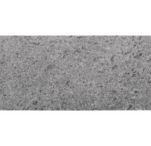 FLAIRSTONE Granit Terrassenplatte Cenith Silver Grey 80 x 40 x 3 cm rektifizierte Kante