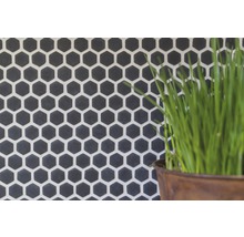 Wandfliesen mit sechseckigem Muster und Pflanze