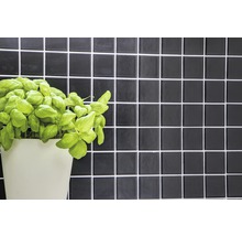 Schwarze Fliesenwand mit Basilikumpflanze im Topf