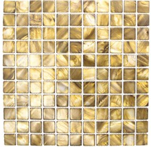 Produktbild: Muschelmosaik SM 2569 braun 30x30 cm