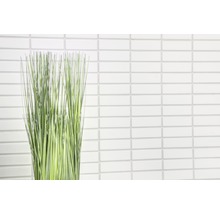 Dekorative Gräser vor einer Wand aus weißen Mosaikfliesen.