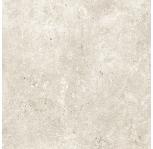 Feinsteinzeug Wand- und Bodenfliese Baltimore beige 60 x 60 cm
