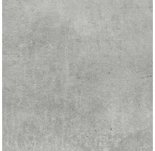 Feinsteinzeug Wand- und Bodenfliese Baltimore grau 60 x 60 cm