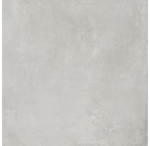 Feinsteinzeug Wand- und Bodenfliese Gare du Nord light grey 81x81 cm