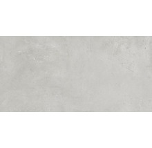 Feinsteinzeug Wand- und Bodenfliese Gare du Nord light grey 30x60 cm