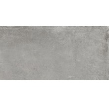 Feinsteinzeug Wand- und Bodenfliese Gare du Nord grey 30x60 cm