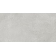 Feinsteinzeug Wand- und Bodenfliese Gare du Nord light grey 60x120 cm