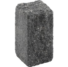 Grauer Pflasterstein