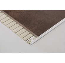 Fliesenprofil aus Metall an einer braunen Fliese