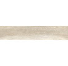 Wand- und Bodenfliese Tradizione Beige 24x120 cm