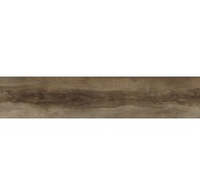 Wand- und Bodenfliese Tradizione Bruno 24x120 cm