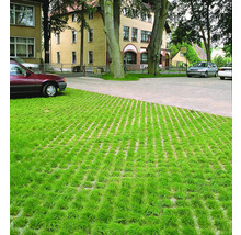 Blick auf Rasengittersteine auf einem Parkplatz