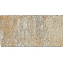 Rechteckiger Pflasterstein