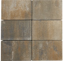 Sechs Pflastersteine aus Beton