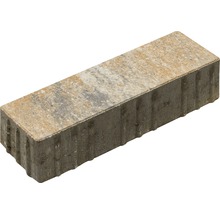 Pflasterstein aus Beton