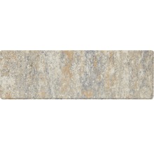 Pflasterstein aus Beton