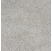 Wand- und Bodenfliese UDINE grau 60 x 60 cm