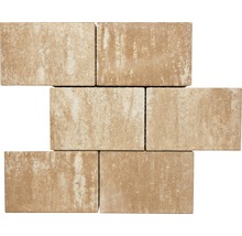 Sechs Pflastersteine aus Beton