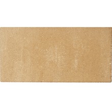 Einzelner Pflasterstein