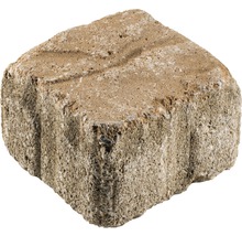 Einzelner Pflasterstein aus Beton