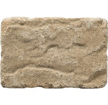 Einzelner Pflasterstein mit rauer Oberfläche