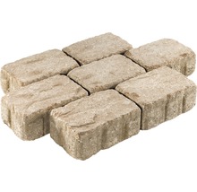 Rechteckiges Pflasterstein-Set für den Garten- und Landschaftsbau