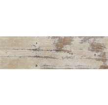 Feinsteinzeug Wand- und Bodenfliese Tribeca Innen miel 20,2 x 66,2 cm