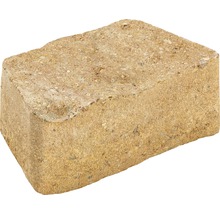 Einzelner Pflasterstein