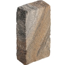 Einzelner Pflasterstein