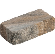 Einzelner Pflasterstein für den Garten- und Landschaftsbau