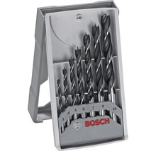 Bosch Forstnerbohrer Set mit verschiedenen Größen in geöffnetem Kunststoffkoffer