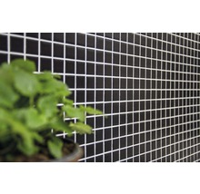 Wand mit kleinen, quadratischen, keramischen Mosaikfliesen