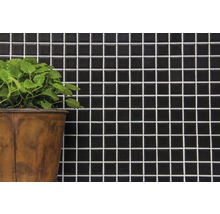 Wandfliese mit Mosaikmuster und Pflanze im Topf