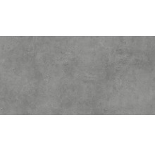 Feinsteinzeug Wand- und Bodenfliese HOMEtek anthracite matt 60 x 120 cm