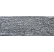 FLAIRSTONE Poolumrandung Beckenrandstein Arctic Gneis Element gerade grau 1 Längsseite gerundet 115 x 35 x 3 cm