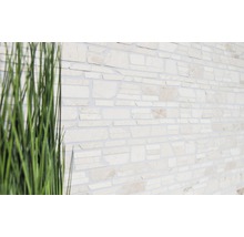 Wandverkleidung aus Naturstein mit Gräsern im Vordergrund