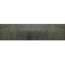 Feinsteinzeug Wand- und Bodenfliese HOMEtek black matt 30 x 120 cm