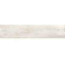 Wand- und Bodenfliese Tradizione bianco 24x120 cm