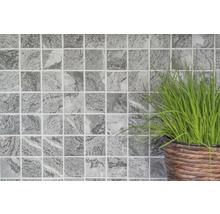 Graue Mosaikfliesen mit Marmoroptik und Pflanze im Topf