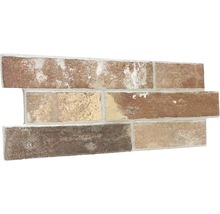 Verblendstein-Paneel mit Backsteinoptik