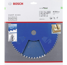 Bosch Expert Holzsägeblatt mit 254 Millimeter Durchmesser