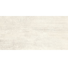 Wand- und Bodenfliese Cemlam perla 60x120 cm