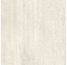 Wand- und Bodenfliese Cemlam perla 60x60 cm