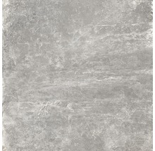 Wand- und Bodenfliese Schiefer grau 60 x 60 cm